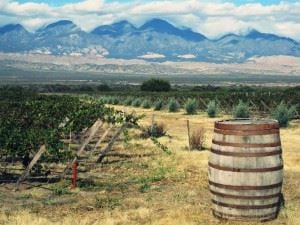 Chile and Argentina Wine Tours