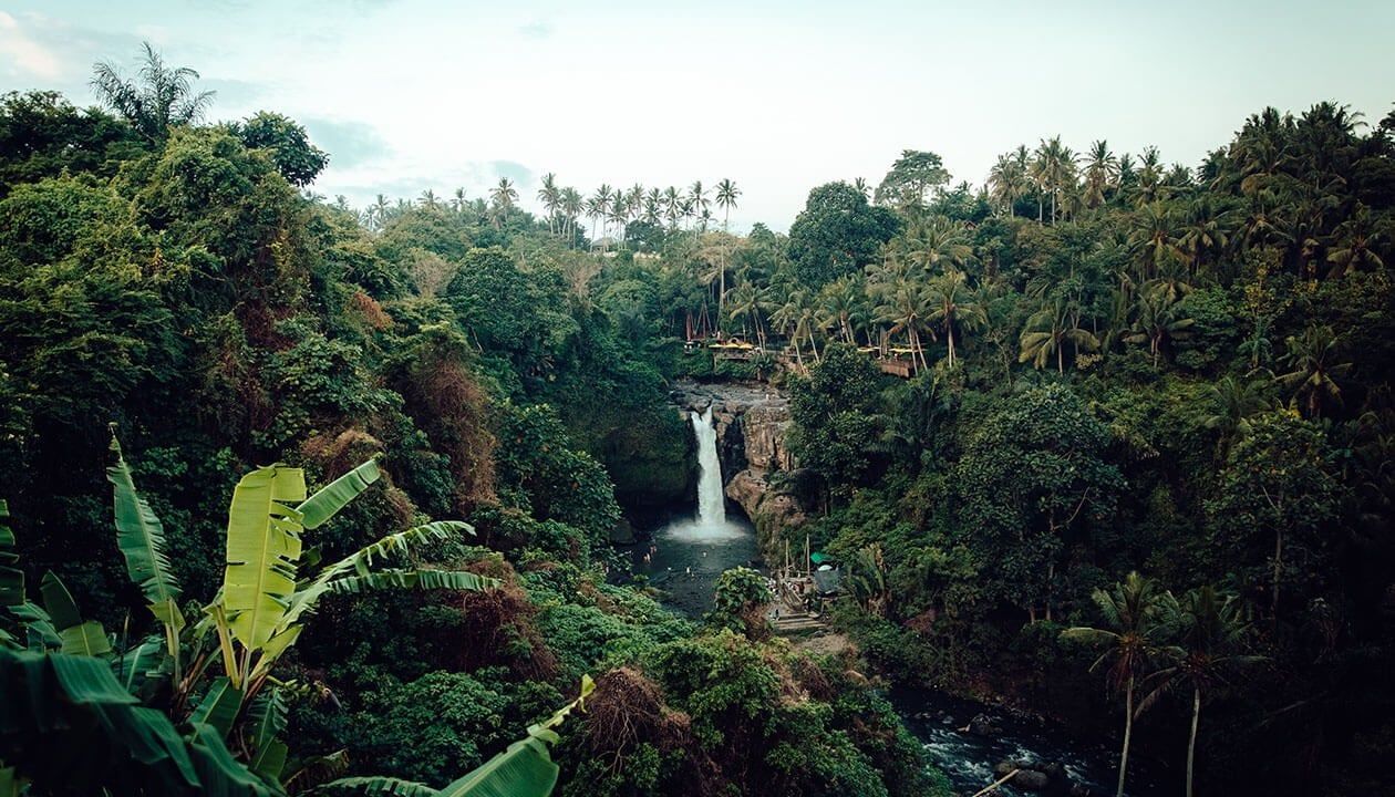 bolivia-amazon-river-cruises-the-best-kept-secret-in-south-america