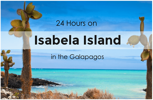 Isabel-Island-in-the-galapagos