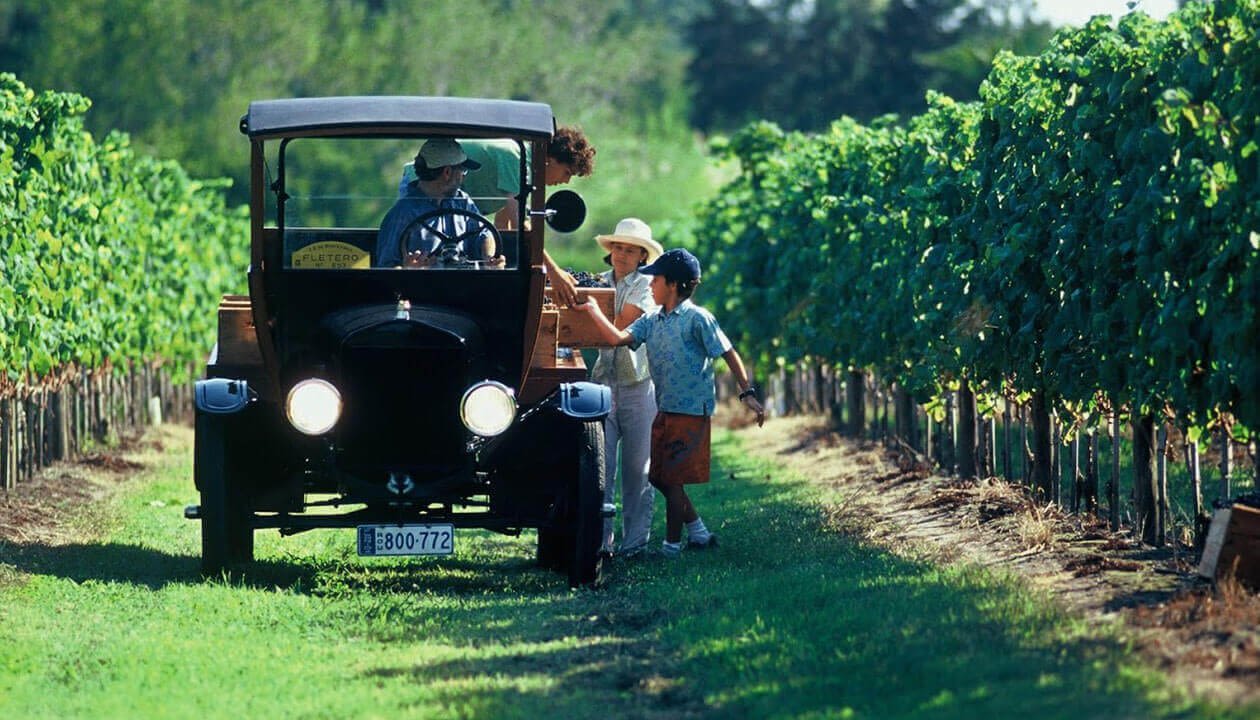 wine tour uruguay