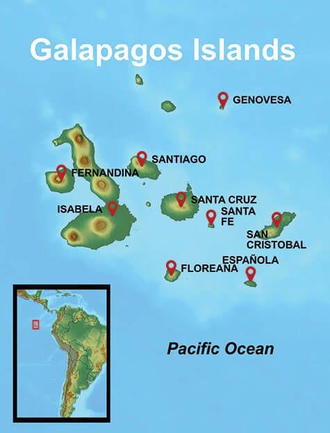 Galapagos Tours 