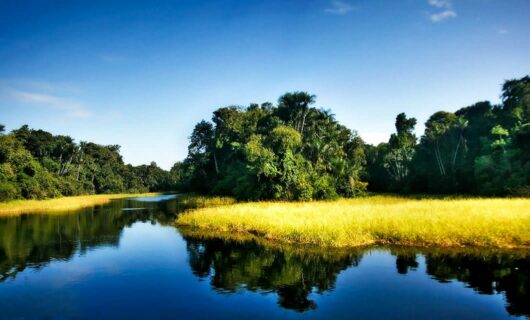 Mirante do Gaviao Amazon Lodge in Brazil | SouthAmerica.travel