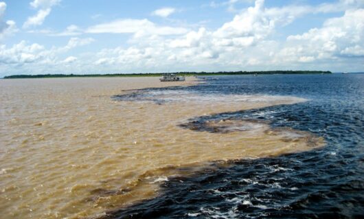 Brazil Amazon River Cruise Tucano | 4* & 5* Manaus Jungle Cruises