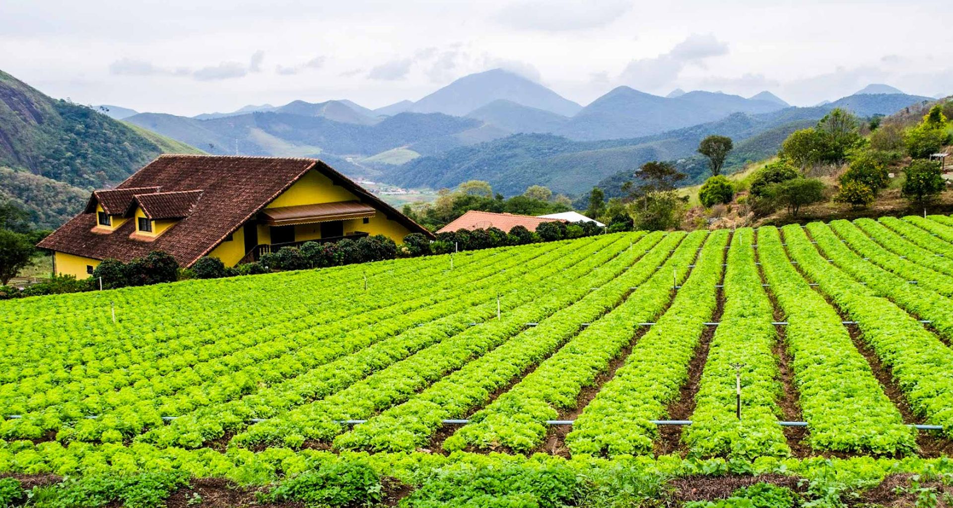 Brazil Farm Tour And Iguassu Falls Brazil Agriculture Tours