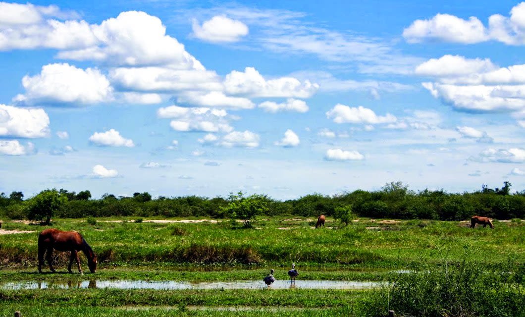 Weather in Paraguay SouthAmerica.travel