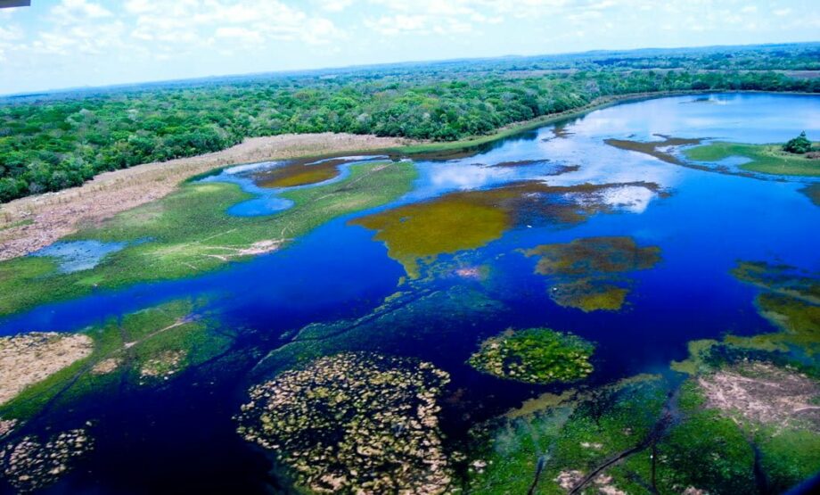 Pantanal Wetlands Tour & Estancia 🦋 4* & 5* Brazil Vacation