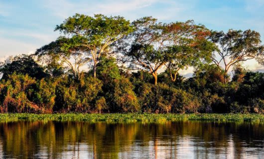 Pantanal Wetlands & Rio de Janeiro Tour | 4* & 5* Brazil Vacation