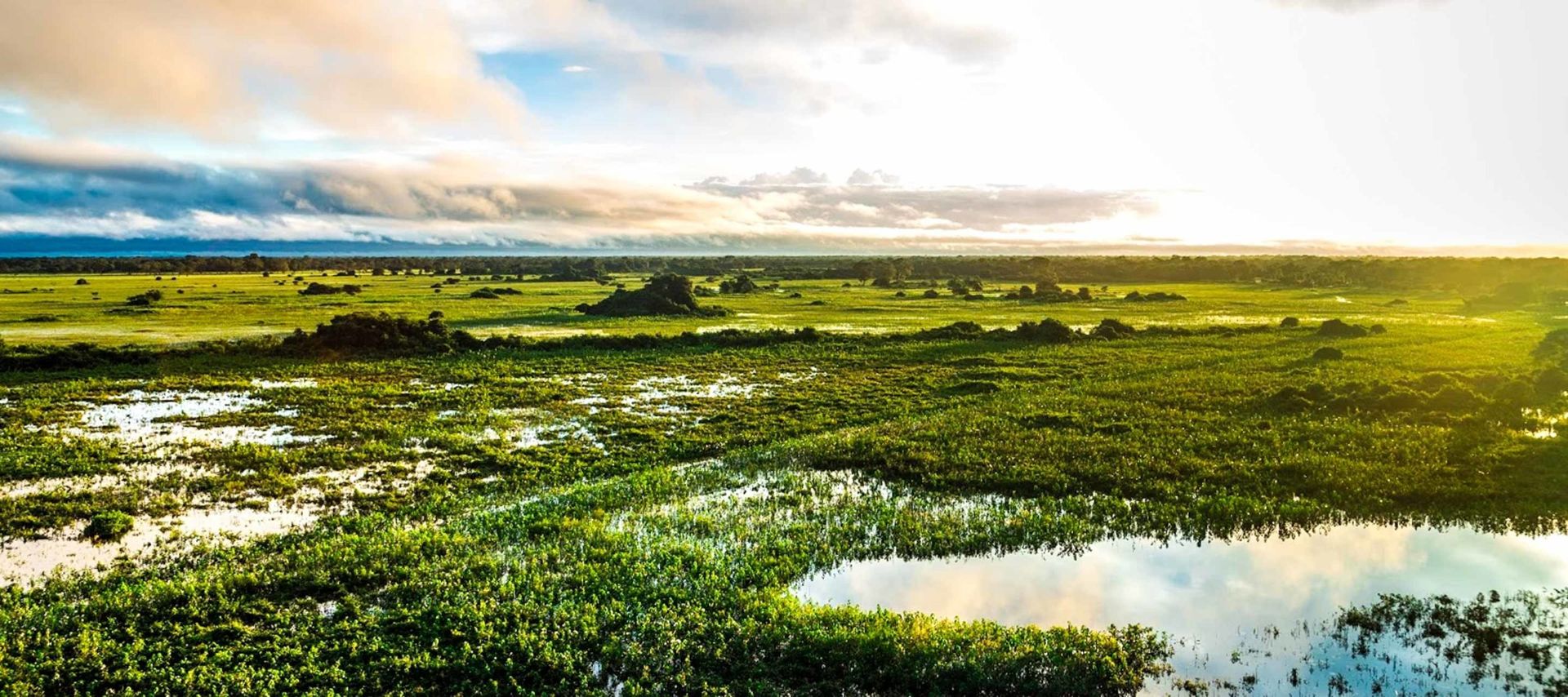 tours to pantanal