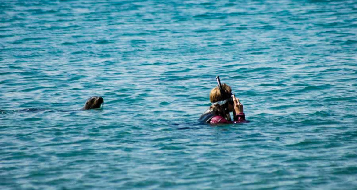 Galapagos Wildlife Discovery Tour | Ecuador by SouthAmerica.travel