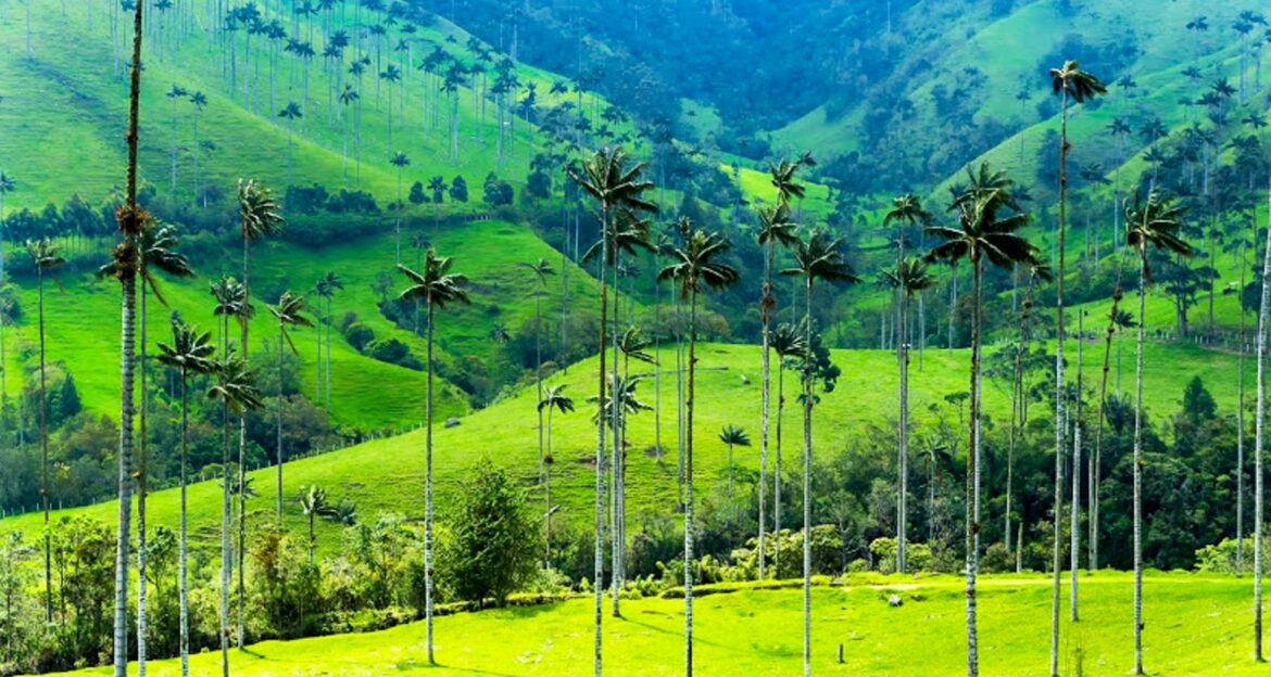 Armenia, Andes Mountains, Coffee Region, Bogotá