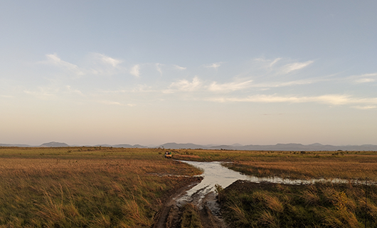 vast horizon on guyana savanna with flooded road