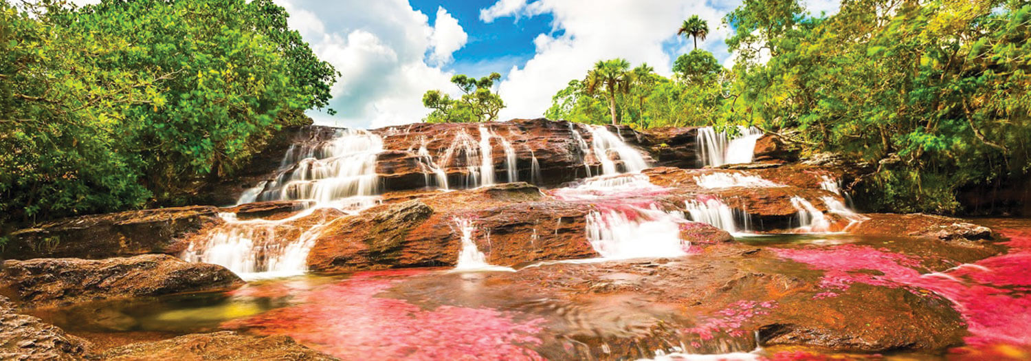 cano cristales river in colombia in autumn