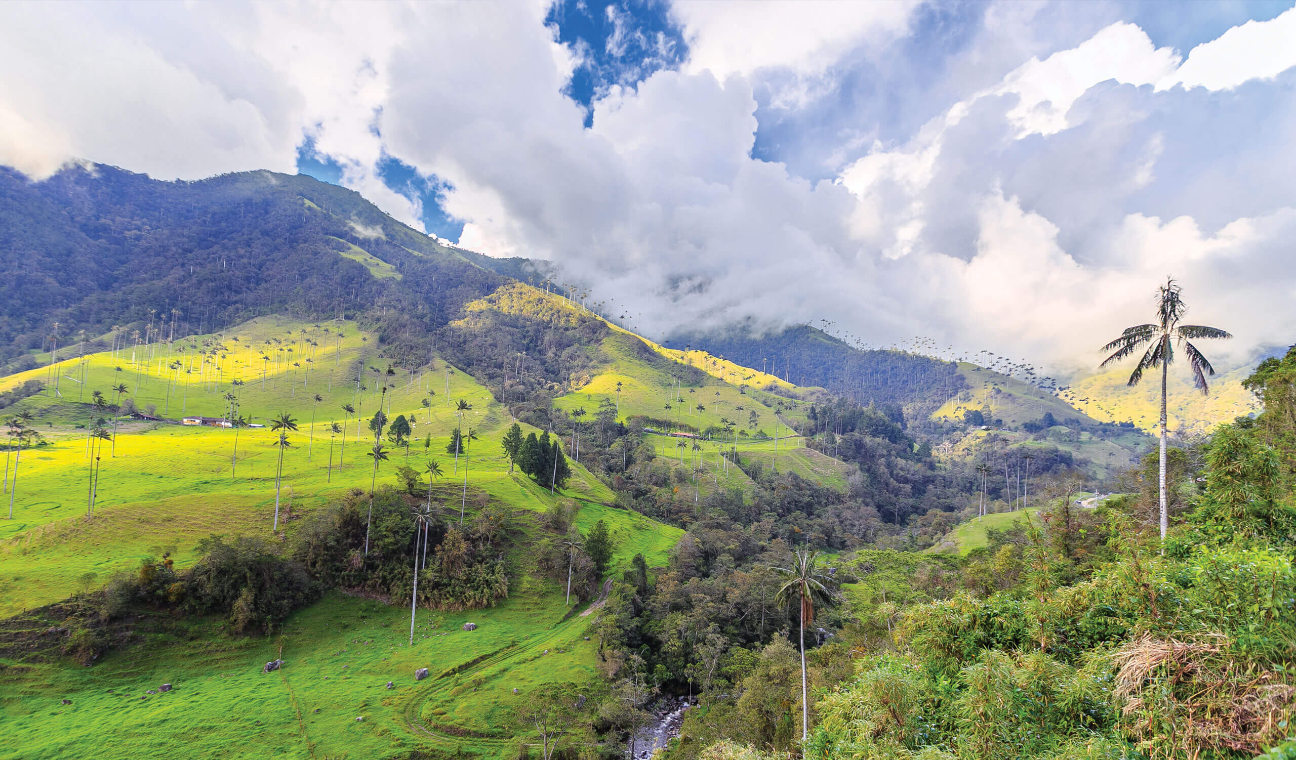 valley in the coffee region of colombia