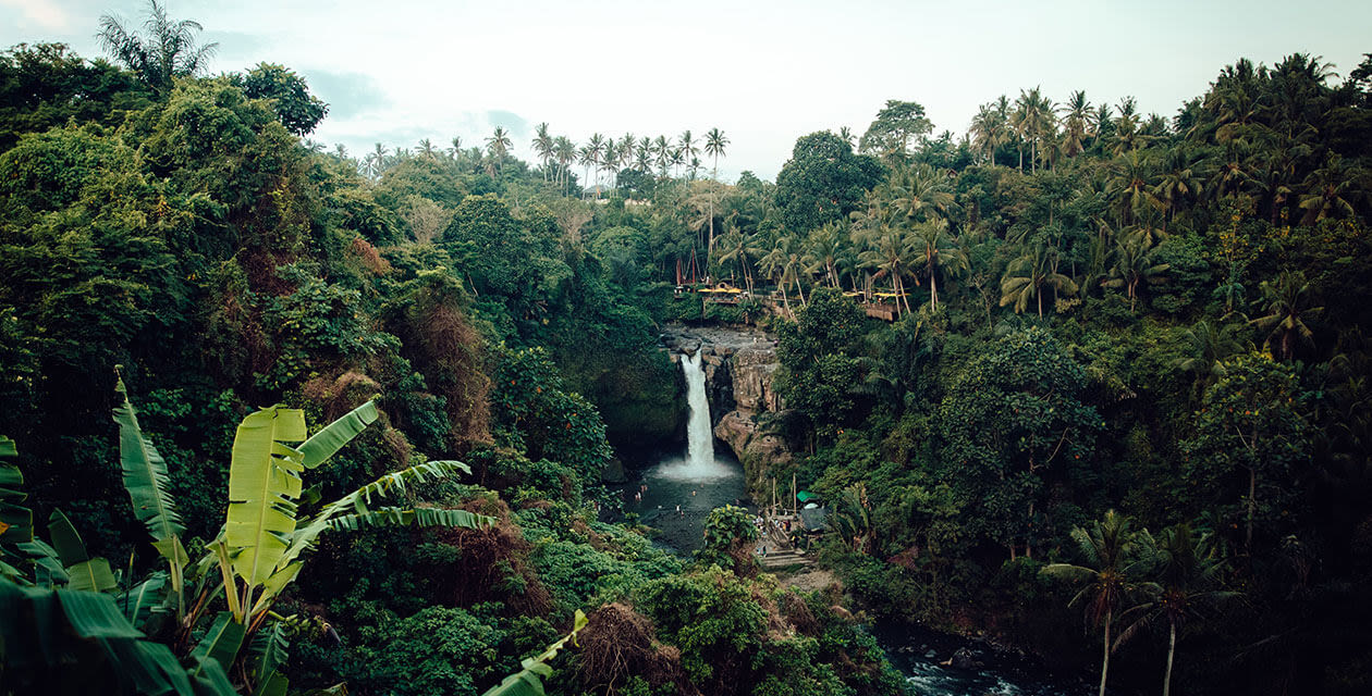 amazon rainforest view of waterfall surrounded by jungle