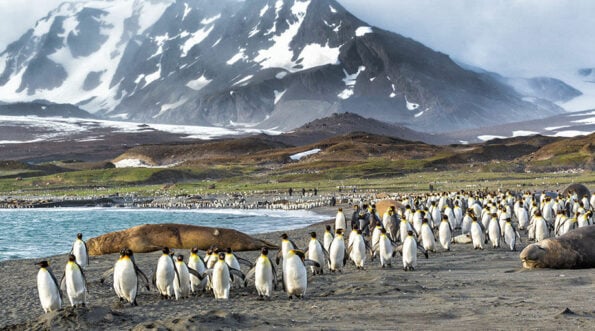 Antarctica Overview - Everything You Need to Know About Antarctica